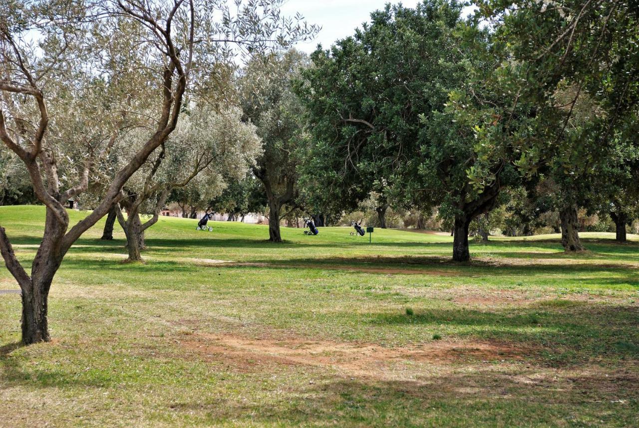 Chalet Adosado De Lujo Para 6 Personas En Golf Panoramica - Internet Fibra Gratis San Jorge  ภายนอก รูปภาพ